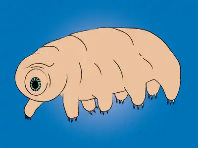 A Tardigrade is a tiny, eight-legged animal that is extremely popular for its resiliency. © FROMTBOT.