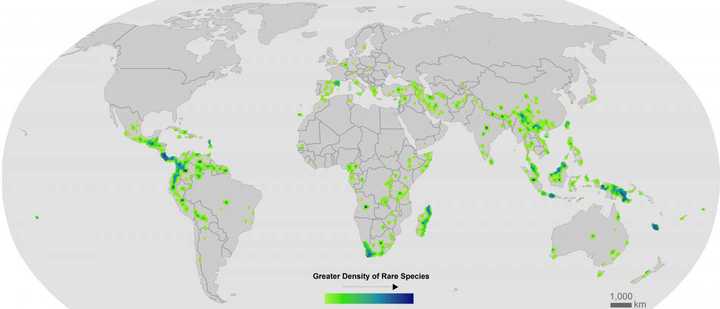 Global Hotspots of Rare Plant Species