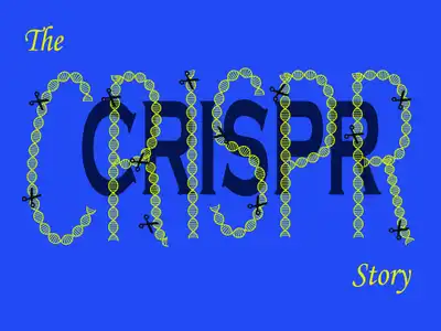 The CRISPR-Cas story. © Sunaina Rao.