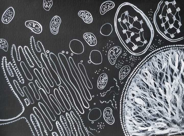 Cell organelles (acrylic art)