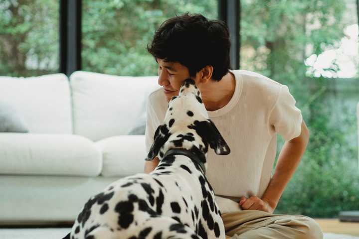 Dogs can show empathetic behaviour by licking and sniffing. Image by [Bethany Ferr from Pexels](https://www.pexels.com/photo/dog-licking-the-face-of-a-man-5482835/).